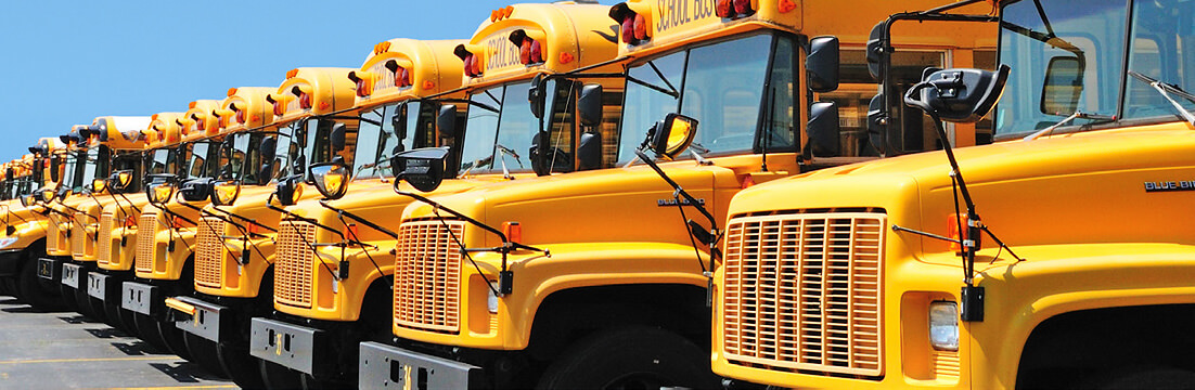 front view of school busses